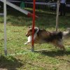 foire-haricots 2011-09-17et18